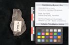 Foto (Detailansicht) von Cinnamomum intermedium Ettingshausen (NHMW-GEO-2024-0188-10155b)